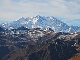 Zoom sul Rosa